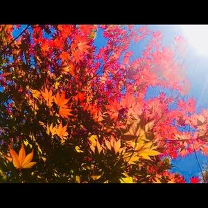 Meet your Posher, Krista